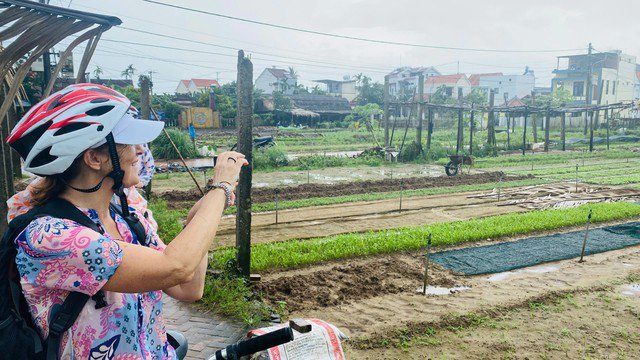 Có gì hấp dẫn ở Trà Quế (Quảng Nam) - làng du lịch tốt nhất thế giới? - 7