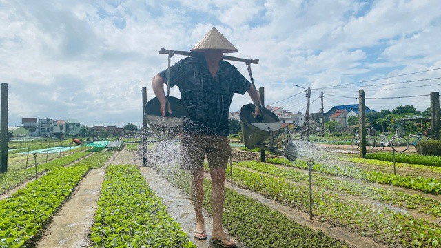 Có gì hấp dẫn ở Trà Quế (Quảng Nam) - làng du lịch tốt nhất thế giới? - 15