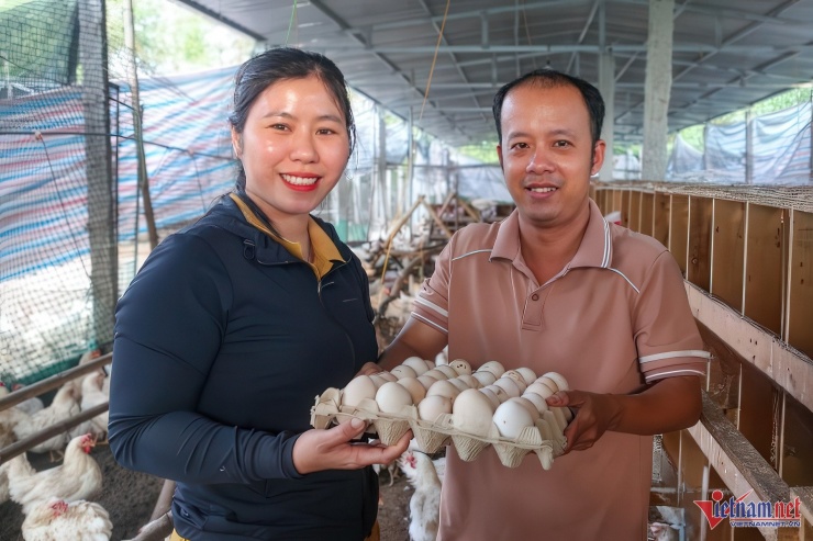 Vợ chồng anh Điệp thành công với mô hình nuôi gà “nhân đạo”.