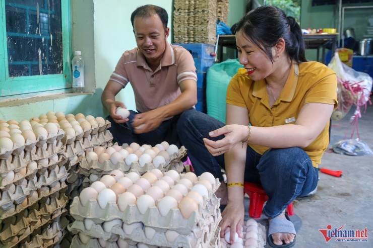 Sản phẩm trứng gà “nhân đạo” đoạt giải nhì cuộc thi khởi nghiệp sáng tạo tỉnh Quảng Nam.