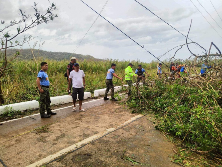 Các nhà chức trách dọn dẹp cây đổ tại Catanduanes hôm 17-11. Ảnh: Rappler