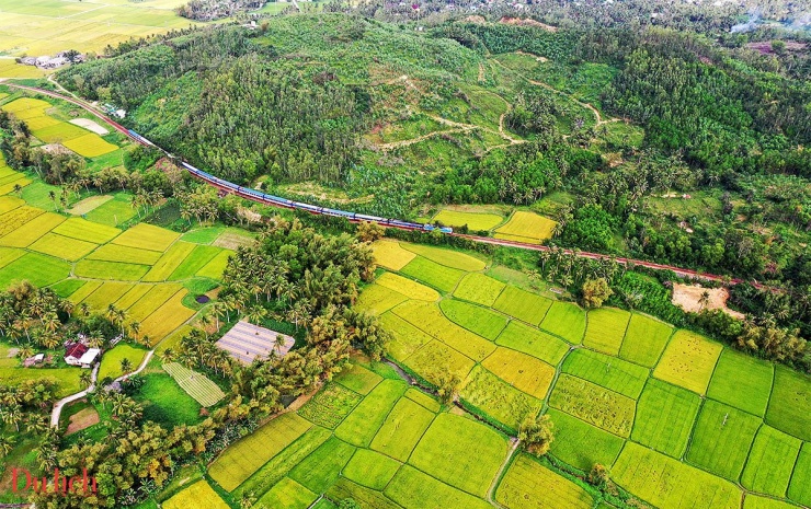 
Khi tàu rời ga Hà Nội, miền Bắc hiện lên với những cánh đồng lúa bạt ngàn, từng hàng cây xanh mướt ôm lấy các ngôi làng yên bình. Vào mùa gặt, những cánh đồng vàng óng ánh như tấm lụa mềm mại trải dài dưới ánh nắng mặt trời. Người nông dân hối hả gặt hái, tạo nên một khung cảnh sống động, đầy sức sống.