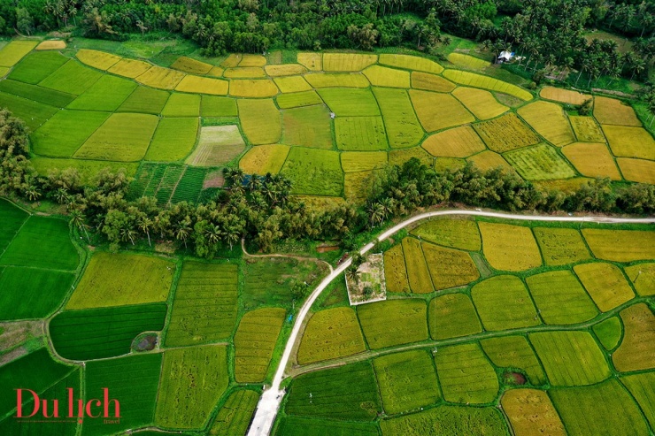 
Hàng dừa cao vút đứng sừng sững, nghiêng mình theo gió, tạo nên khung cảnh yên bình và thơ mộng. Từ khung cửa sổ tàu, hành khách có thể ngắm nhìn những làng chài nép mình bên biển, với những mái nhà đơn sơ mà ấm áp. Tất cả vẽ nên bức tranh thiên nhiên tuyệt đẹp, khiến bất cứ ai đi ngang cũng không khỏi say lòng trước vẻ đẹp hoang sơ và hiền hòa của miền đất này.