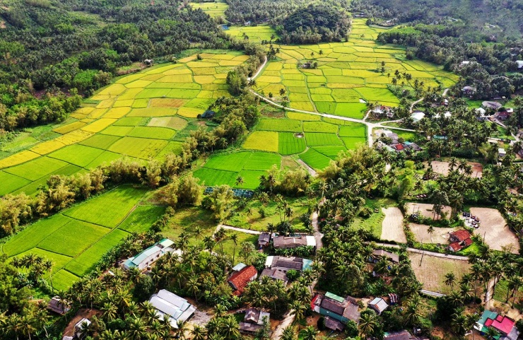 
Khi tàu vào miền Nam, hình ảnh những cánh đồng lúa phì nhiêu, dòng sông uốn lượn hiền hòa và những khu chợ nổi nhộn nhịp hiện ra trước mắt. Đời sống người dân nơi đây gắn liền với sông nước, mang một nét văn hóa độc đáo và đậm chất miền Tây Nam Bộ.