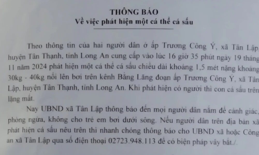 Cá sấu tiếp tục xuất hiện trên kênh Bằng Lăng, Long An