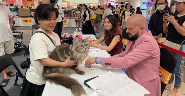 Khởi nghiệp với 31 triệu đồng nuôi mèo “khổng lồ”, 9x Bình Dương thu hàng tỷ đồng/năm