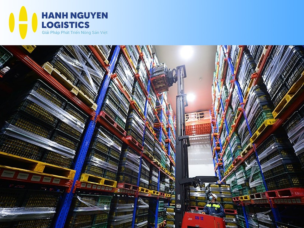 Hạnh Nguyên Logistics khai trương nhà máy chiếu xạ công suất 1.000 tấn/ngày - 2