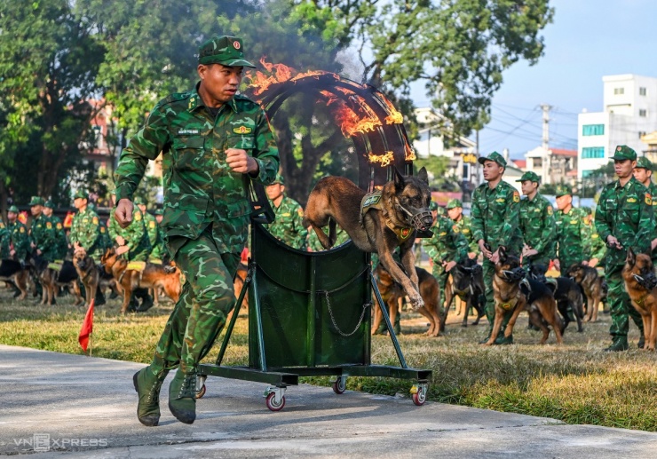 Trình diễn đặc sắc tại triển lãm Quốc phòng quốc tế Việt Nam 2024: Đội hình quân khuyển và đặc công biểu diễn ấn tượng