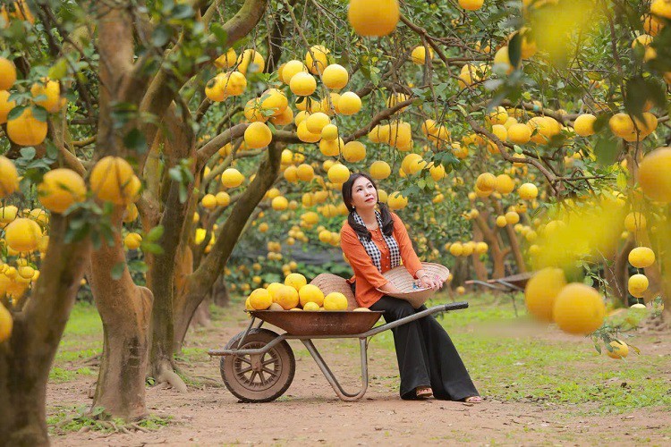 Từ vườn bưởi này, dịch vụ trang điểm, cho thuê trang phục và chụp ảnh cũng nở rộ. (Ảnh: NVCC).