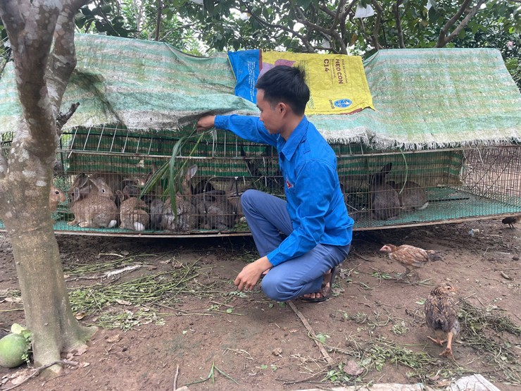 Anh cho biết nhờ mô hình này mỗi năm anh thu về hàng trăm triệu đồng.