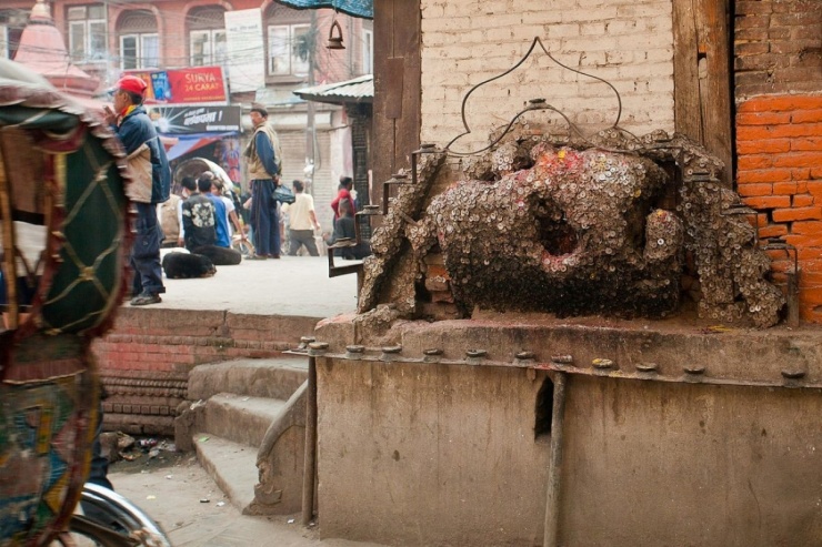 Gốc cây bằng tiền xu 'chữa đau răng' ở Nepal - 1