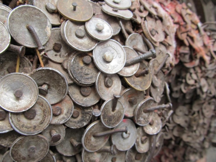 Gốc cây bằng tiền xu 'chữa đau răng' ở Nepal - 2