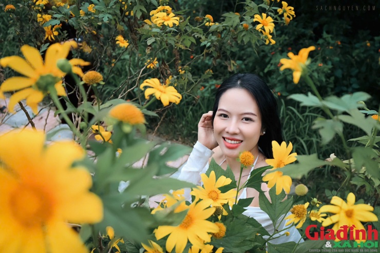 Hòa chung sắc vàng mùa hồng chín, mùa hoa dã quỳ cũng là một điểm nhấn đặc biệt của núi Đại Huệ.