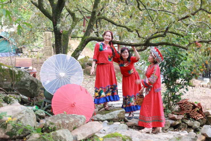 Những chùm quả sai trĩu quả, nặng trĩu cành, như muốn níu giữ từng khoảnh khắc tuyệt vời của mùa thu.