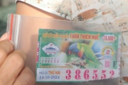 Tòa Án Huế Hướng Dẫn Người Phụ Nữ Khởi Kiện Yêu Cầu Công Ty Xổ Số Bàn Giao Kết Quả Giám Định Vé Số Trúng Thưởng