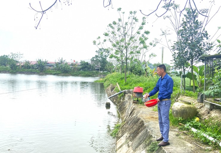 Nuôi cá giống anh Định mỗi năm xuất bán ra thị trường gần 3 triệu con cá giống, thu về hơn 1 tỷ đồng.