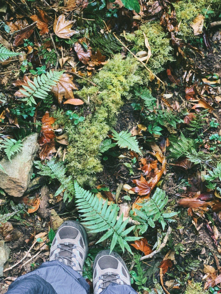 Sa Mu - cung trekking 'đẹp như cổ tích' - 10