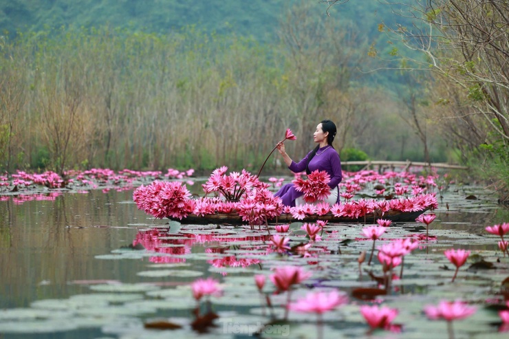 Mê mẩn những mùa hoa gây thương nhớ ở Hà Nội - 10