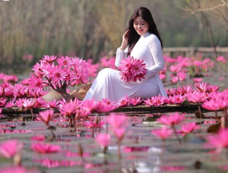 Khi những bông hoa súng nở rộ trên dòng suối Yến, những bông hoa chàm nước nõn nà trên cây, cũng là du khách và giới nhiếp ảnh gia đến đây để chụp ảnh.