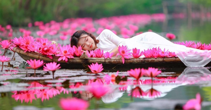 Hằng chia sẻ, để chụp với hoa súng, phái nữ nên mặc đồ tông màu đơn giản, như áo dài trắng, áo bà ba, vì hoa súng mang hương vị đồng quê.