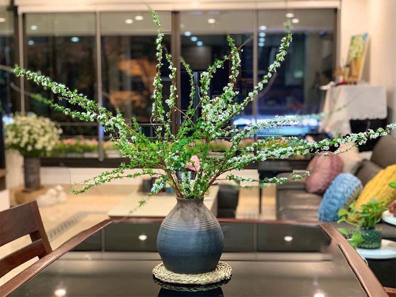 Hoa tuyết mai thường được trưng trong nhà vào dịp Tết, thể hiện sự sang trọng quý phái cho gia chủ.