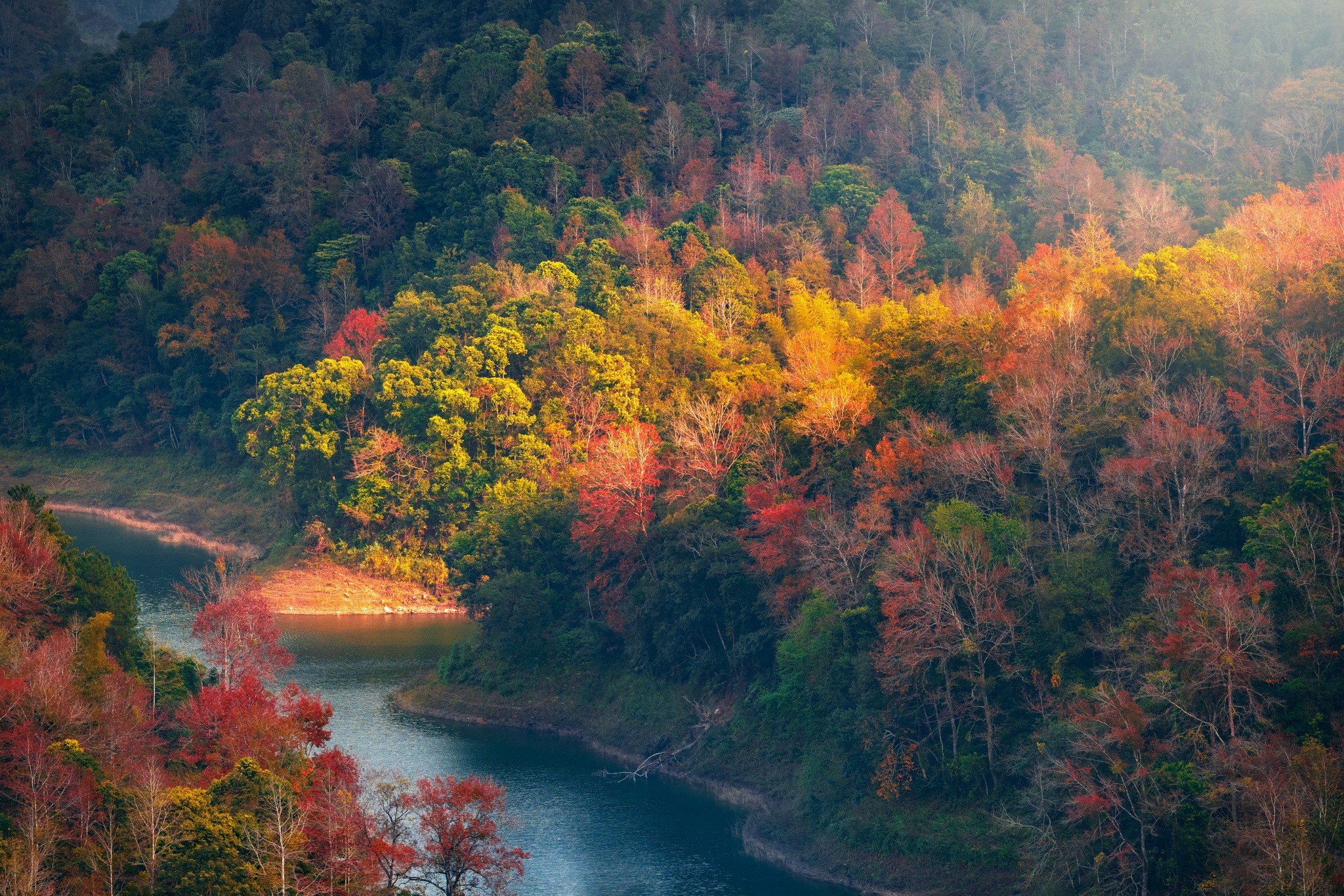 phim địt nhau không che