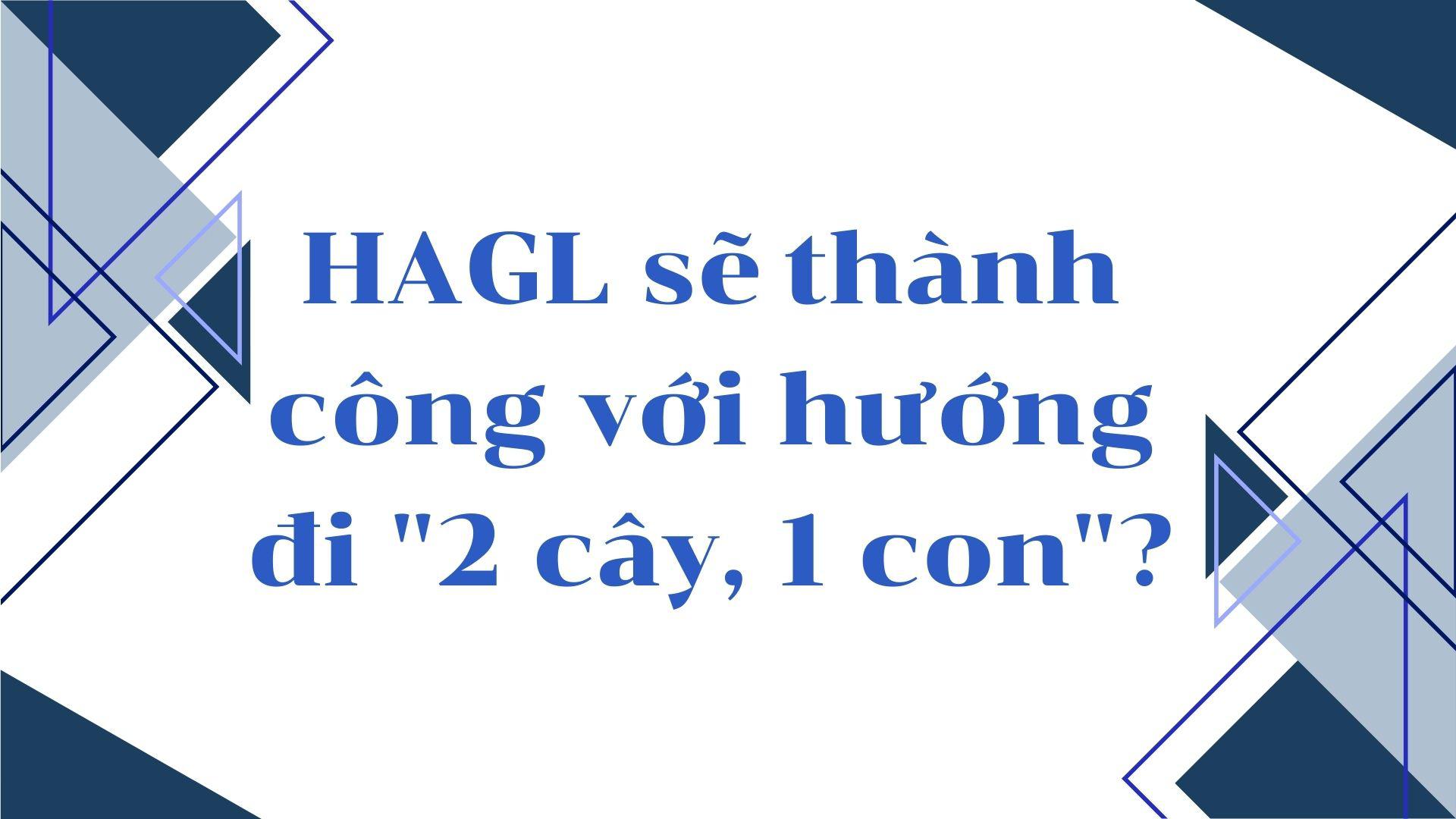 Những sóng gió vùi dập HAGL và hy vọng “hồi sinh” của bầu Đức - 12