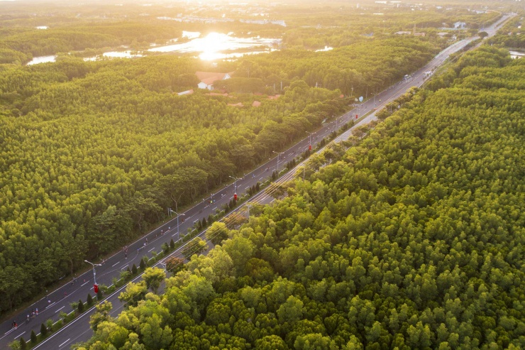 Một đoạn đường Rừng Sác đẹp như tranh bởi màu xanh của rừng già chạy dài hàng chục km ven đường.