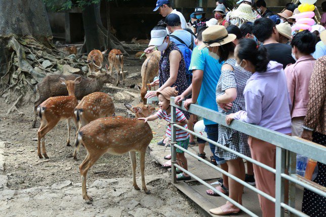 Thảo Cầm Viên Sài Gòn Vững Vàng, Không Đối Mặt Với Nguy Cơ Đóng Cửa