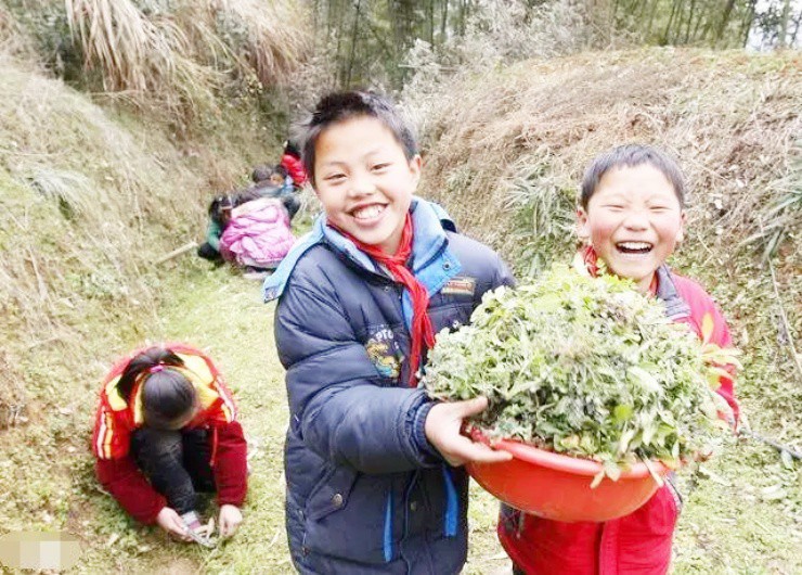 Rau “cứu đói” ở quê, lên phố thành báu vật “hái ra tiền” - 3