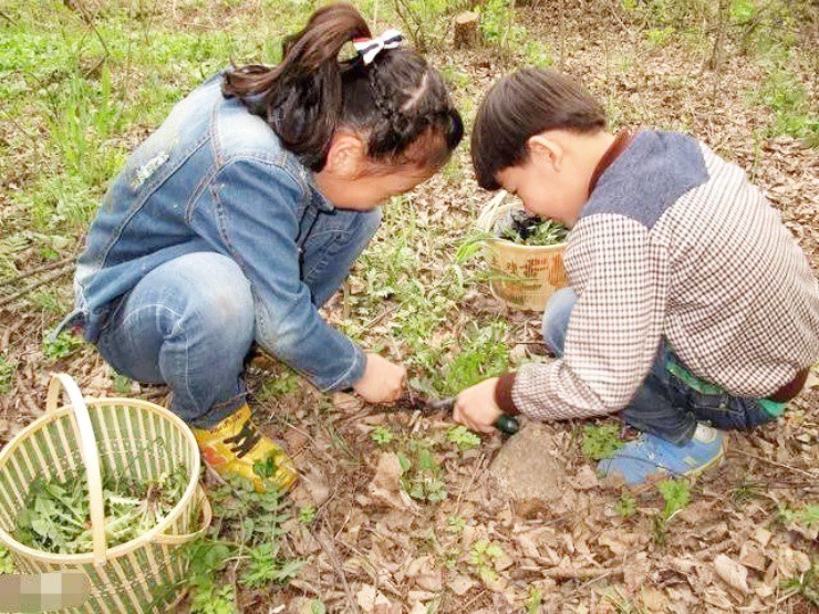 Rau “cứu đói” ở quê, lên phố thành báu vật “hái ra tiền” - 4