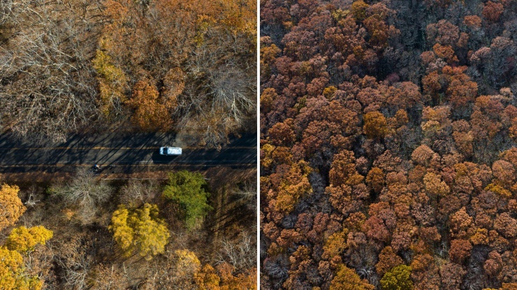 Sắc đỏ cuối thu ở Hokkaido - 2