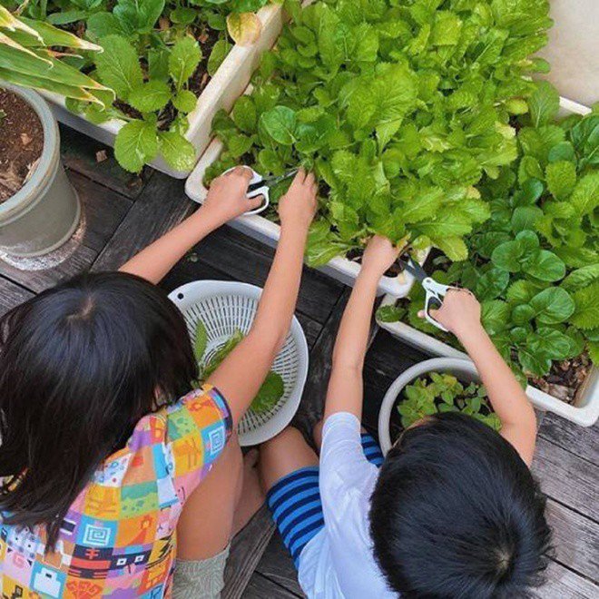 Cháu trai gia tộc 3000 tỷ nhà Tăng Thanh Hà hiếm hoi "lên sóng", bé Mason tròn 3 tuổi lộ vẻ tuấn tú - 8