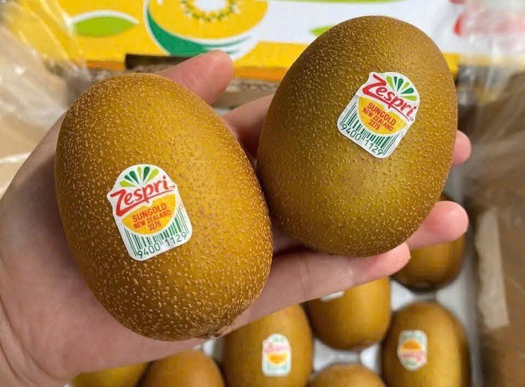 Kiwi nhập khẩu từ New Zealand có giá không dưới 100 nghìn đồng/kg.