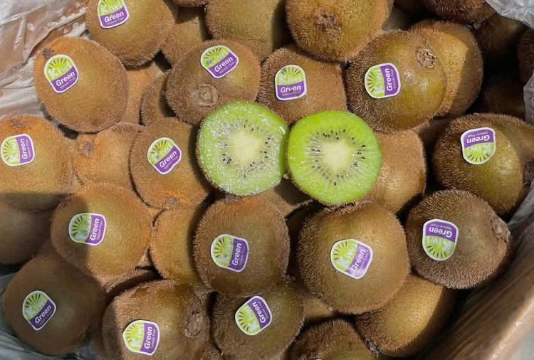 Kiwi xanh Trung Quốc đội lốt Kiwi New Zealand bán trên chợ mạng.