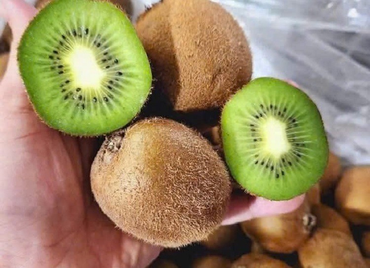 Kiwi giá rẻ có quả nhỏ, nhiều lông, ruột xanh, ăn rất chua.