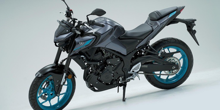 "Kỵ sĩ bóng đêm" Yamaha MT-25 2025 trình làng với loạt cập nhật mới - 7