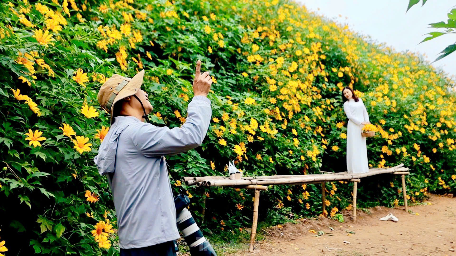 Chiêm ngưỡng vẻ đẹp hoa tam giác mạch, dã quỳ vàng nở rộ giữa lòng Thủ đô - 7