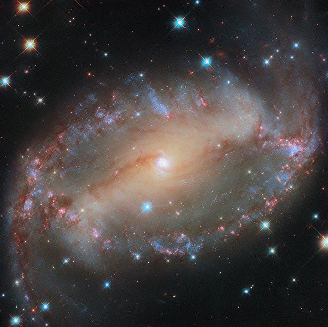 "Mắt vũ trụ" NGC 2566 - Ảnh: NASA/ESA