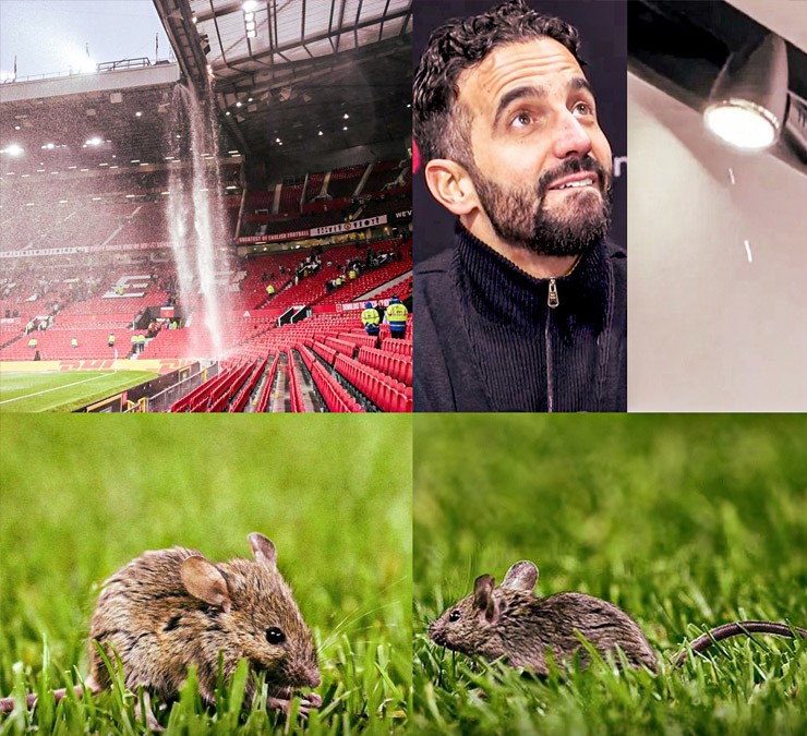 Sân Old Trafford xuống cấp