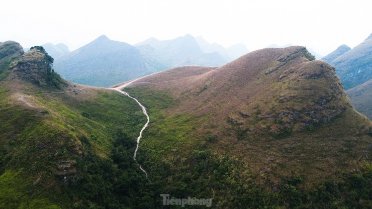 Cảnh đẹp hoang sơ, thơ mộng trên đồi cỏ cháy nổi tiếng Cao Bằng - 2