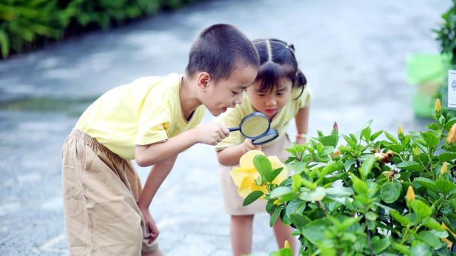 Tò mò là sự theo đuổi và mong muốn khám phá những sự kiện mới lạ, đầy thử thách và không rõ ràng. Ảnh minh họa