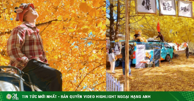 www.24h.com.vn