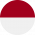 Logo Indonesia - IDN
